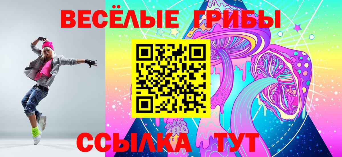 Псилоцибиновые грибы Cubensis Чехов
